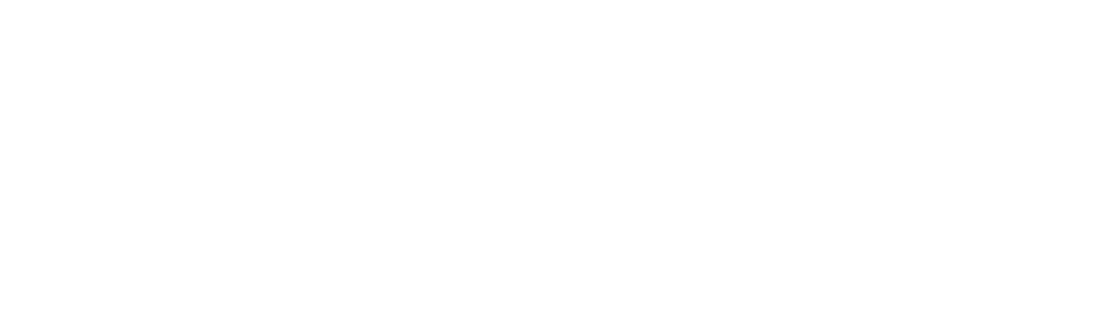 Stichting de oude wijk